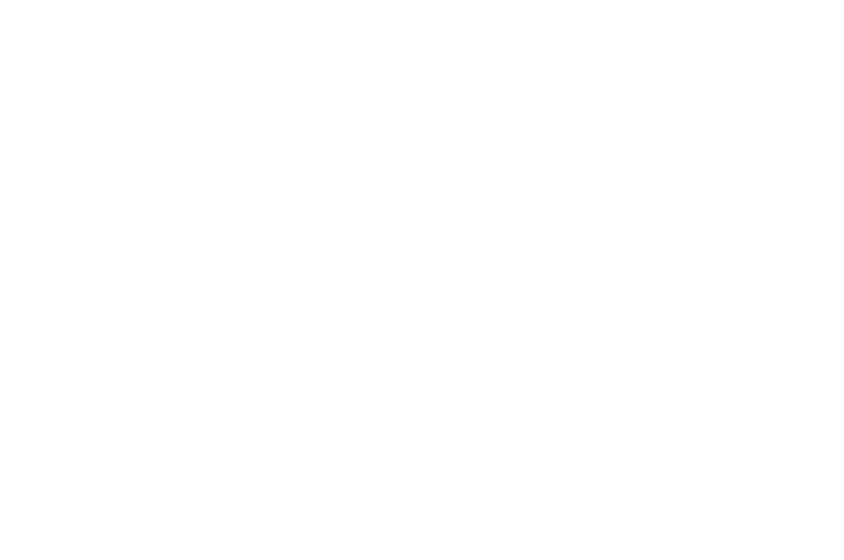 OFFICIAL-SELECTION-OGA-Visual-Art-Exhibitions-2019